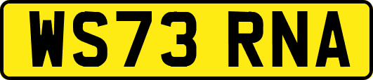 WS73RNA