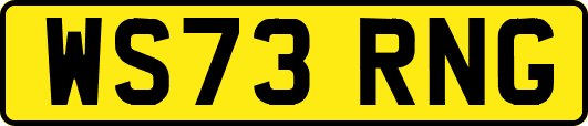 WS73RNG