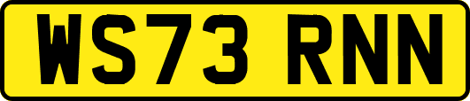 WS73RNN
