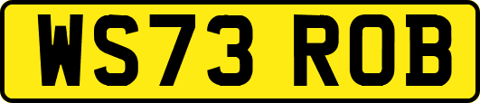 WS73ROB