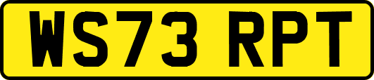 WS73RPT