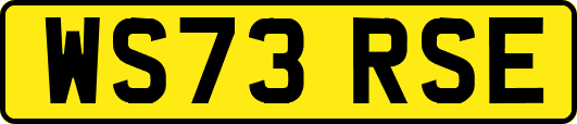 WS73RSE