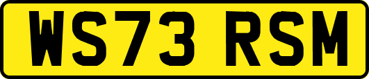 WS73RSM