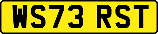 WS73RST