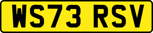 WS73RSV