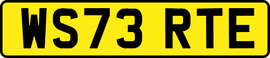 WS73RTE