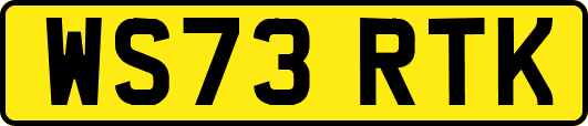 WS73RTK