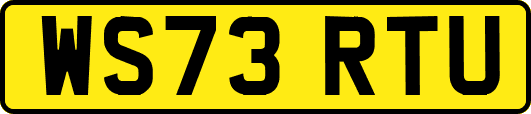 WS73RTU