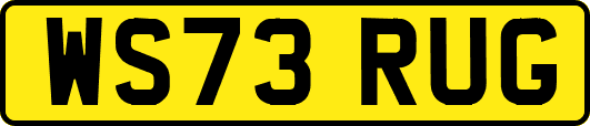 WS73RUG
