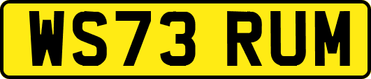 WS73RUM