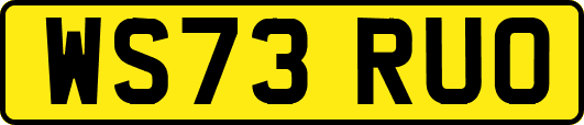 WS73RUO