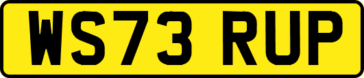 WS73RUP