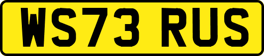 WS73RUS