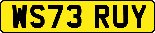 WS73RUY