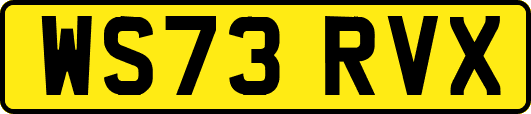 WS73RVX