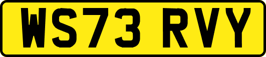 WS73RVY