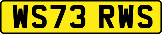 WS73RWS