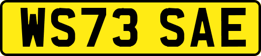 WS73SAE