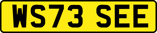 WS73SEE