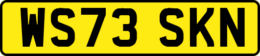 WS73SKN