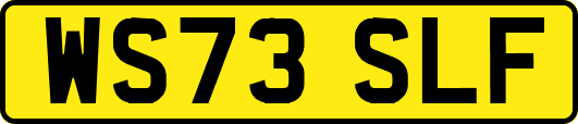 WS73SLF
