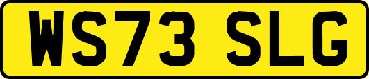 WS73SLG