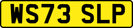 WS73SLP