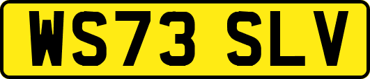 WS73SLV