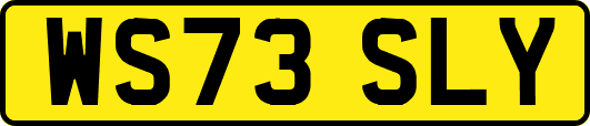WS73SLY