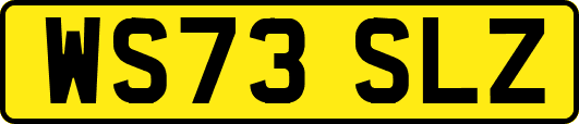 WS73SLZ