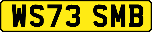WS73SMB