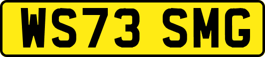 WS73SMG