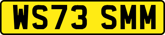 WS73SMM