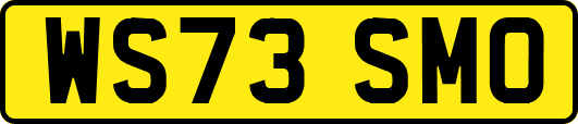 WS73SMO
