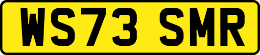 WS73SMR