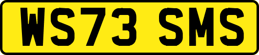 WS73SMS