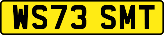 WS73SMT