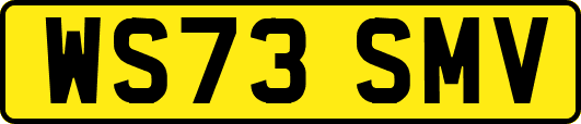 WS73SMV