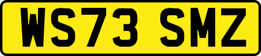 WS73SMZ