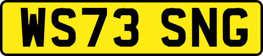WS73SNG