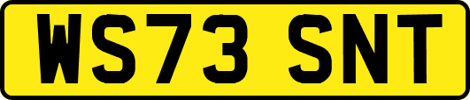 WS73SNT