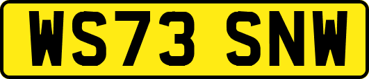 WS73SNW