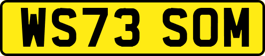WS73SOM