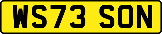 WS73SON