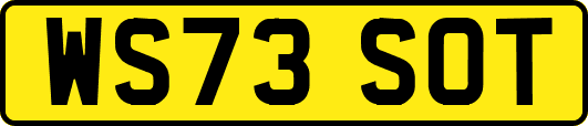 WS73SOT