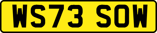 WS73SOW