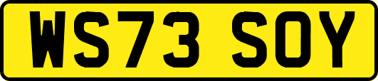 WS73SOY