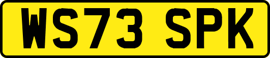 WS73SPK