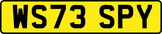 WS73SPY