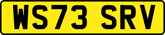 WS73SRV